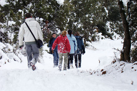 Nieve en la Sierra de Guara