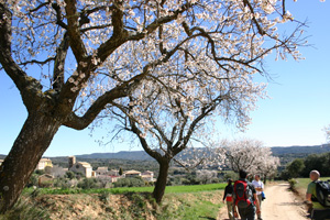 Senderismo en la Sierra de Guara